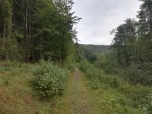 08.08.2018: Wildnis-Trail Etappe 3