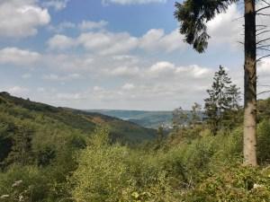 08.08.2018: Wildnis-Trail Etappe 3