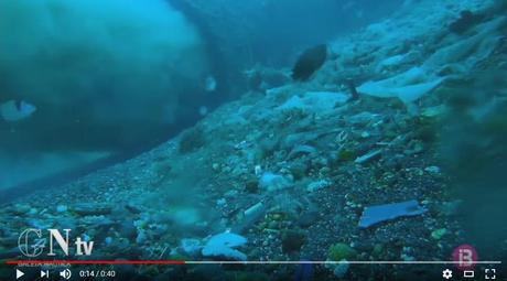 Can Pere Antoni: eine Müllhalde auf dem Meeresgrund