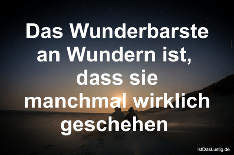 Lustiger BilderSpruch - Das Wunderbarste an Wundern ist,  dass sie...