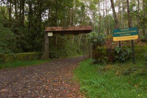Eingang in den Nationalpark (© Autoridad de Turismo de Panamá (ATP))