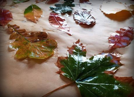 DIY: Wunderschöne Herbstbasteleien mit Kindern – Den Herbst ewig haltbar machen