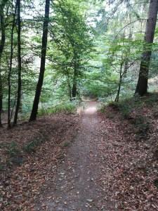 09.08.2018: Wildnis-Trail Etappe 4