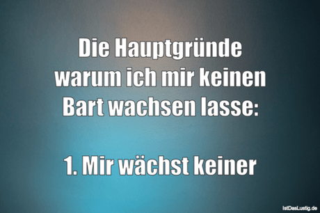 Lustiger BilderSpruch - Die Hauptgründe warum ich mir keinen Bart...