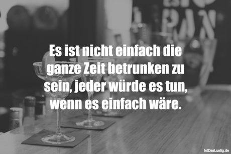 Lustiger BilderSpruch - Es ist nicht einfach die ganze Zeit betrunken...