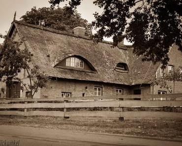 Cinny in Kittlitz und Hamburg - Tag 3 #Reisen #Urlaub #Norden