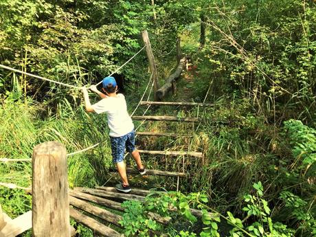 Wo Wasser und Land aufeinander treffen: Ein Familienausflug ins Naturzentrum Thurauen