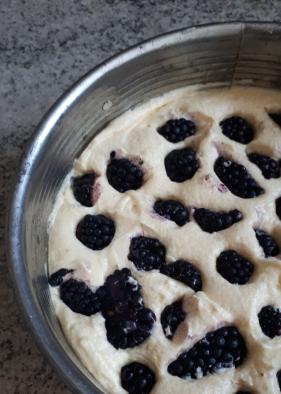 Volle Kanne Brombeeren… Brombeer Kuchen mit Brombeer Joghurt Sahne