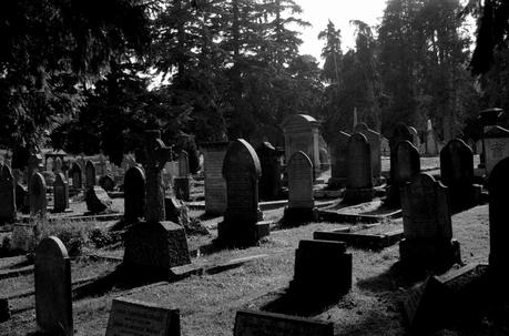 Friedhof Enniskerry 02, Rollei35 Ilford HP5 400