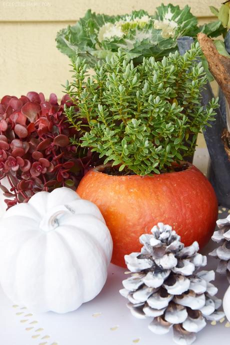 Dekoideen mit Kürbis für den Herbst. Kürbisse natürlich dekorieren. Tischdeko, Tisch dekorieren Herbstdeko, herbstliche Deko, 