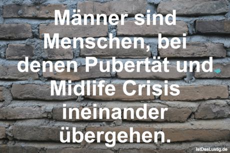 Lustiger BilderSpruch - Männer sind Menschen, bei denen Pubertät und...