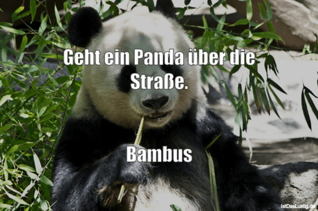 Lustiger BilderSpruch - Geht ein Panda über die Straße.   Bambus