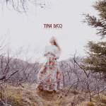 CD-REVIEW: Tina Dico – Fastland