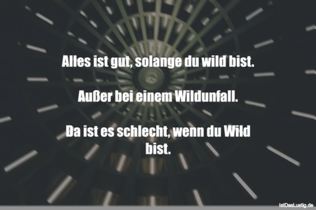 Lustiger BilderSpruch - Alles ist gut, solange du wild bist.  Außer bei...