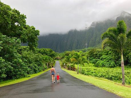 Tipps für Euren Mietwagen auf Hawaii