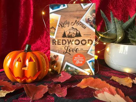 überhypte Herbstbuch Redwood Love beginnt einem Blick