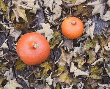 FallLove – Things to do!