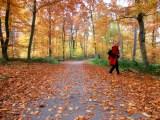 Der Oktober läutet den Herbst ein