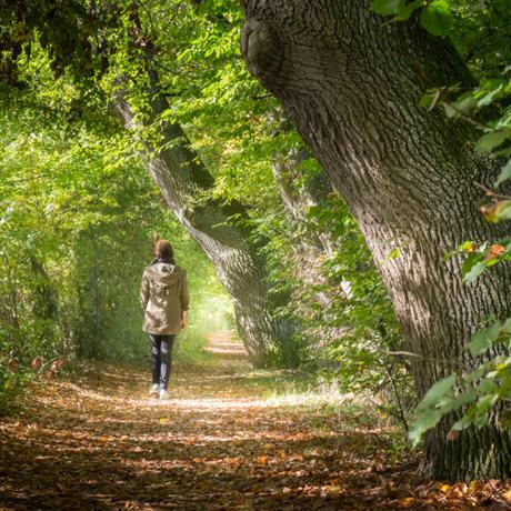 Detox Week 3. – 11. November 2018