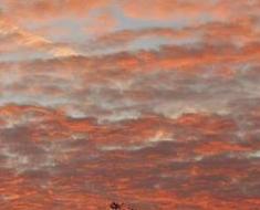 wallpaper-1689754