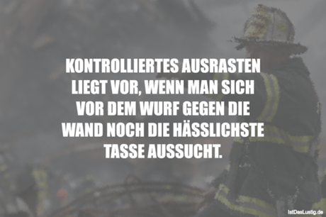 Lustiger BilderSpruch - KONTROLLIERTES AUSRASTEN LIEGT VOR, WENN MAN...