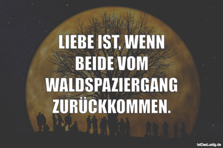 Lustiger BilderSpruch - LIEBE IST, WENN BEIDE VOM WALDSPAZIERGANG...