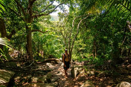 Die Wanderung führt durch den Dschungel von La Digue