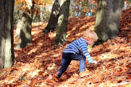 Bunt,...bunter, ..Herbst!  - Die neue sigikid Herbst-Kollektion