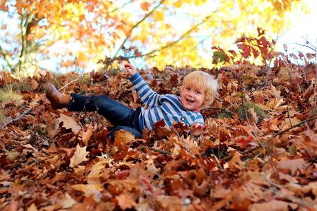 Bunt,...bunter, ..Herbst!  - Die neue sigikid Herbst-Kollektion