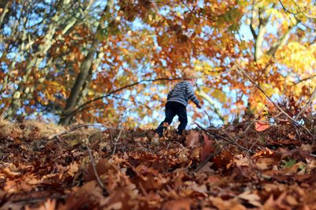 Bunt,...bunter, ..Herbst!  - Die neue sigikid Herbst-Kollektion