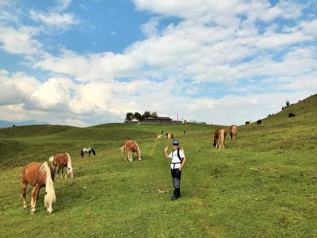 Familienferien im Südtirol Teil 1: Unterwegs am Fusse des Schlern