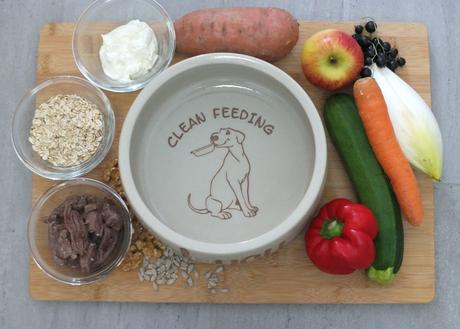 Getreidefreie Hundeernährung – die eierlegende Wollmilchsau?