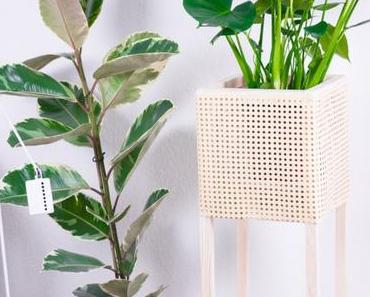 Mein Plant Stand DIY Projekt – Geflecht trifft auf Holz
