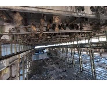 Smoother Drohnenflug durch ein altes Lagerhaus