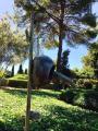 Hotel Cort/Mallorca: Lustwandeln im Königsgarten