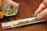 15 Kilo Marihuana beschlagnahmt