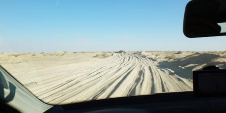 Tunesien: Sandmeer, Dattelwald und Salzsee