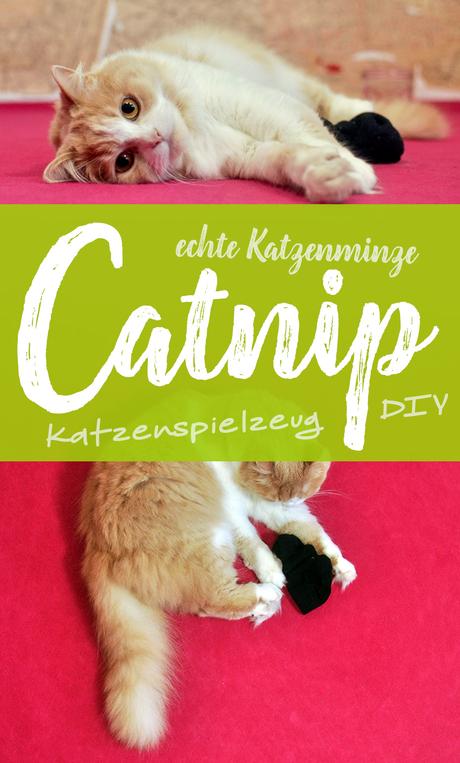 »Catnip« Katzenspielzeug aus echter Katzenminze