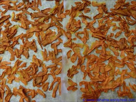 Karotten-Chips