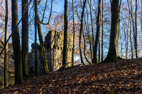 Ruine Rodenstein