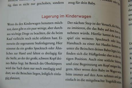 {Baby} Baby Basics von Diana Schwarz und Frauke Ludwig