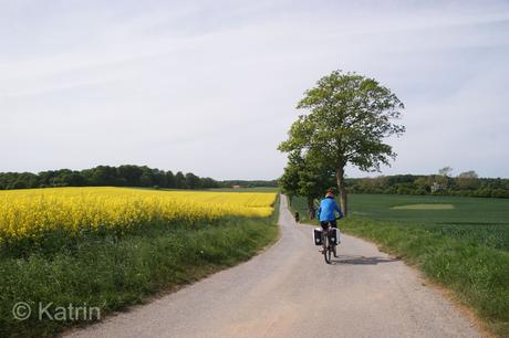 Gastbeitrag: 340 wunderbare Kilometer mit dem Rad nach Kopenhagen – inkl. Tipps