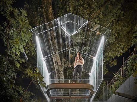 Baumhaus aus Glas in Mexiko