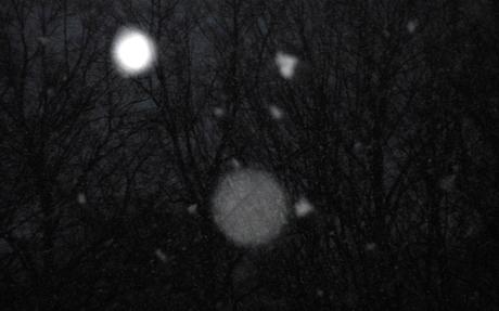 Foto: Schneeflocken in der Dunkelheit