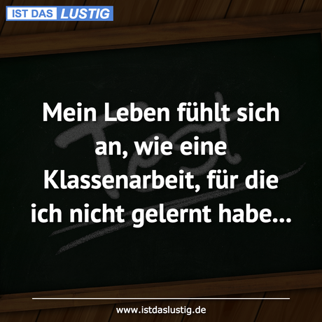 Lustiger BilderSpruch - Mein Leben fühlt sich an, wie eine...