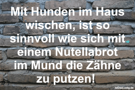 Lustiger BilderSpruch - Mit Hunden im Haus wischen, ist so sinnvoll wie...