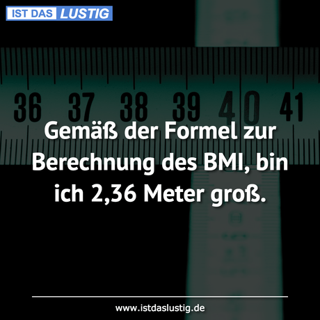 Lustiger BilderSpruch - Gemäß der Formel zur Berechnung des BMI, bin...