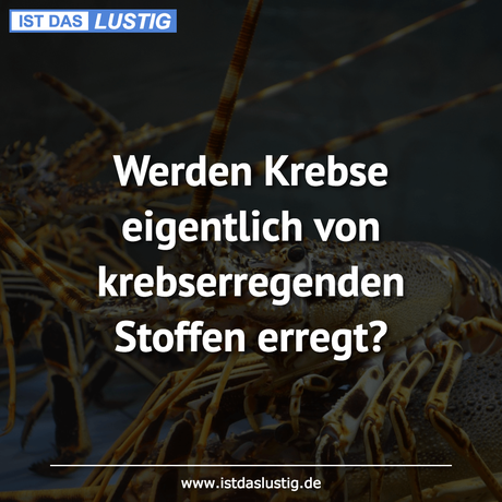 Lustiger BilderSpruch - Werden Krebse eigentlich von krebserregenden...