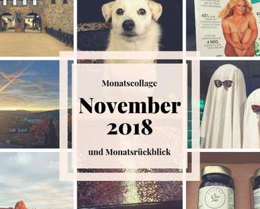 Die Saalburg im November 2018 – Monatscollage und Monatsrückblick