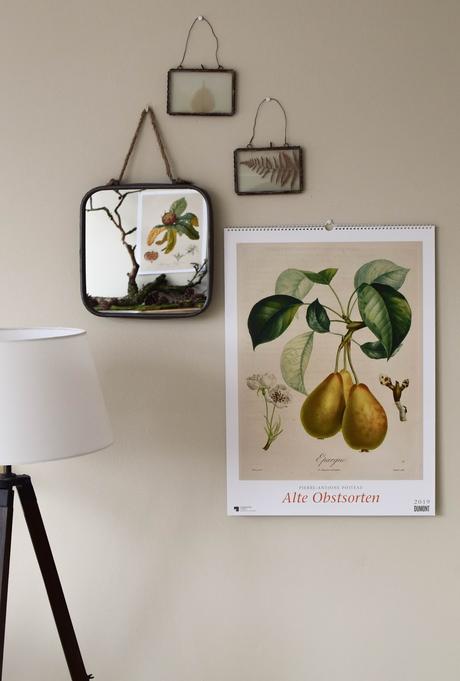 Kalender 2019 mit botanischen Zeichnungen Drucke Poster Deko Dekoidee Wanddeko von DUMONT teNeues Alte Obstsorten